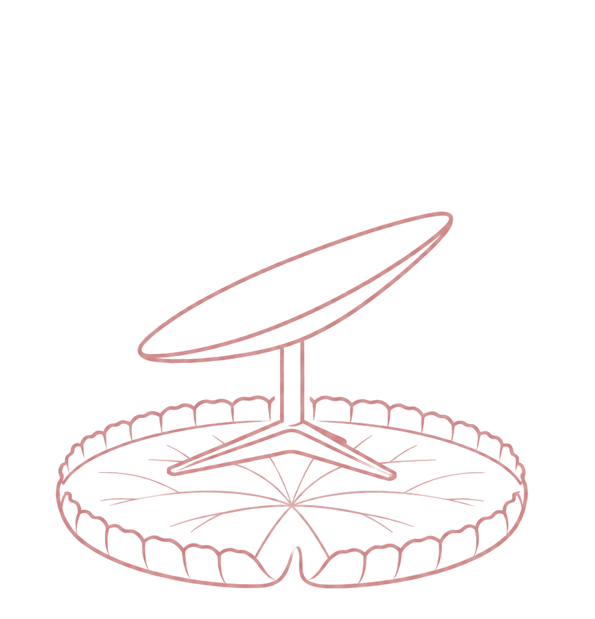 STARLINK WIFI